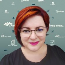 DIRECTEUR COMMERCIAL chez Mexi Steel